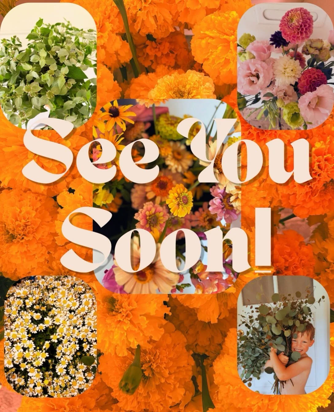 🍷💐WINE, VINES &amp; WILDFLOWERS ATTENDEES🍷💐

We can&rsquo;t wait to see everyone! 

Just a friendly reminder &amp; information 👇 
Where: Shadowline Vineyard 
When: Tomorrow @ 6pm-Until 
Wine: Flowin-a-plenty (ha!) you will tell the server what y