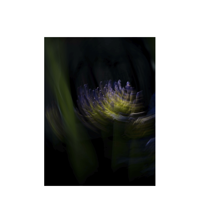 Screenshot 2026-06-11 at 5.12.05 pm.png