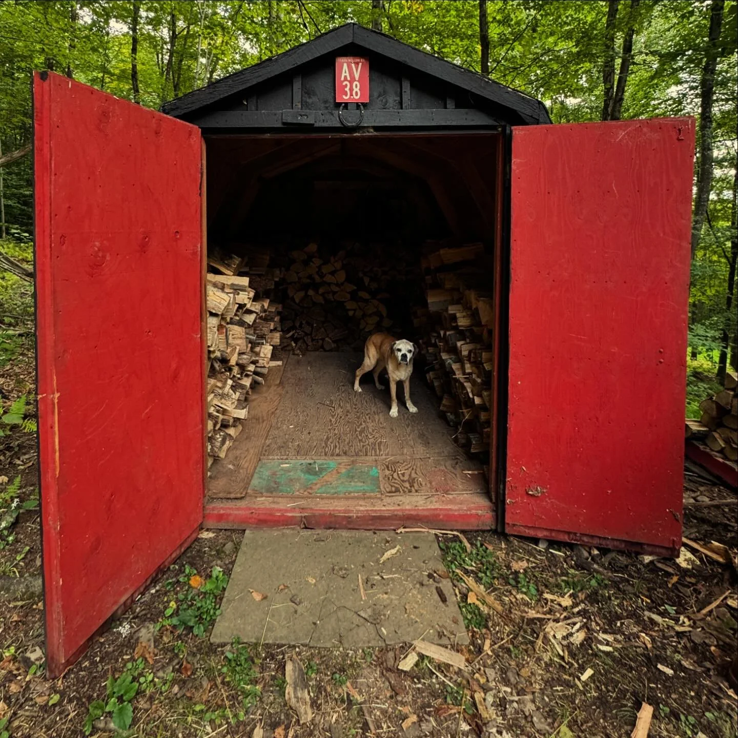 Getting ready for winter πͺ΅ π₯ βοΈ βοΈ 
#cozy #cabin #thecabinchronicles #cabinlove #countryliving #catskillrental #catskillmountains #upstateny #travel #beautifuldestinations #cabinporn  #cabininthewoods #cabinpups #valleyviewcabin #dogfriendly #cozy