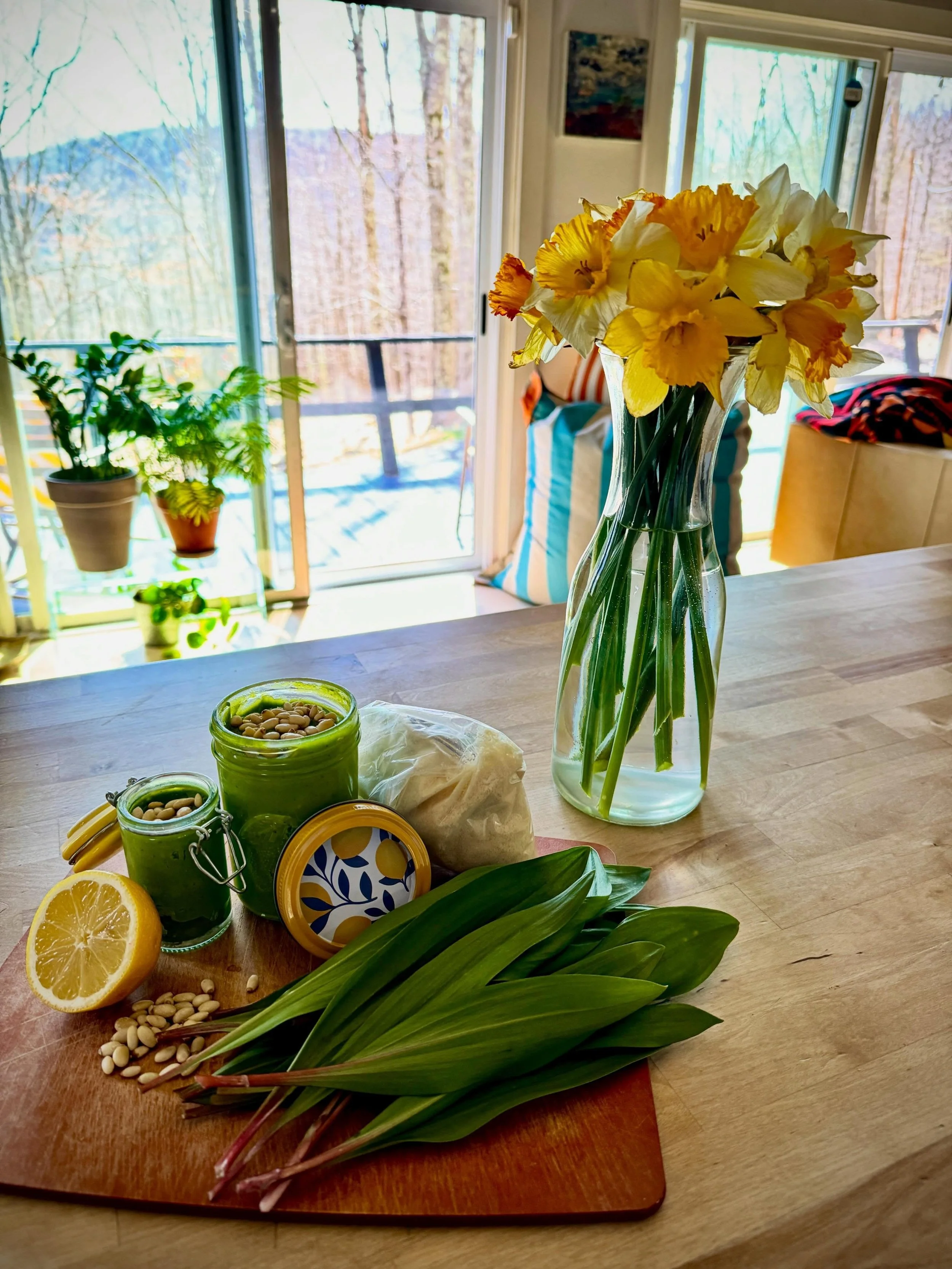 Ramp season 🌱 😋

#rampseason #cabin #upstatenewyork #catskillmountains