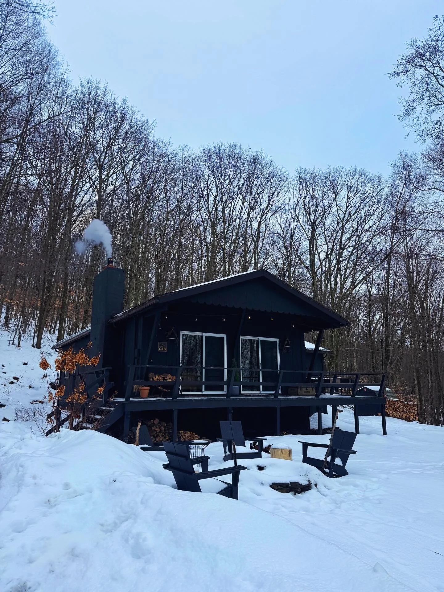 Following 🦌🐇🐺

#cozy #cabin #thecabinchronicles #cabinlove #countryliving #catskillmountains #upstateny #travel #beautifuldestinations #cabinporn #cabininthewoods #valleyviewcabin #cozycabin #dreamy #woods #chillvibes #freshair #footprints #snow #