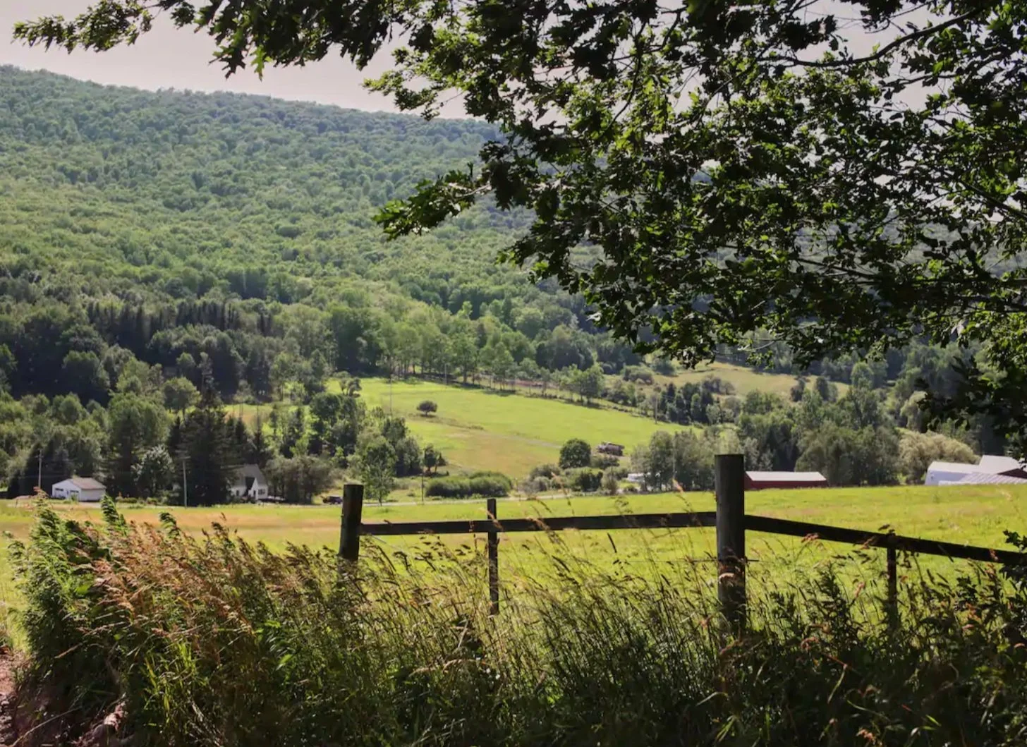 Views of the area at the Valley View Cabin