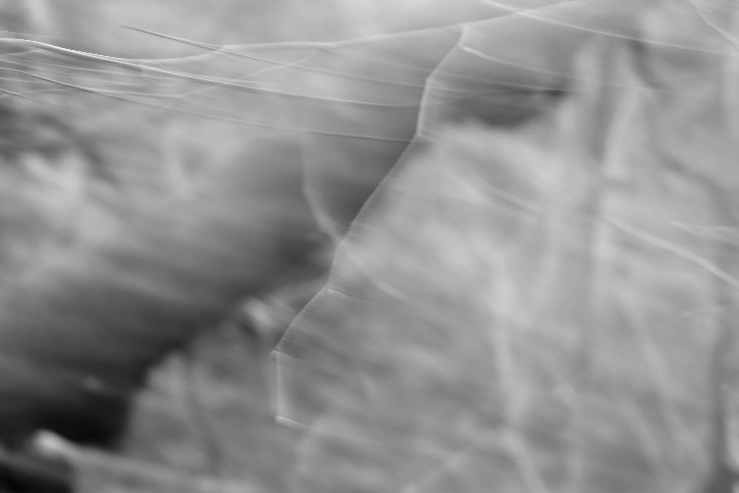 un peu flou ! // Jef Fleury