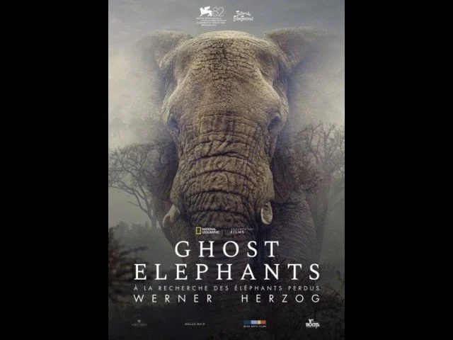 Ghost Elephants