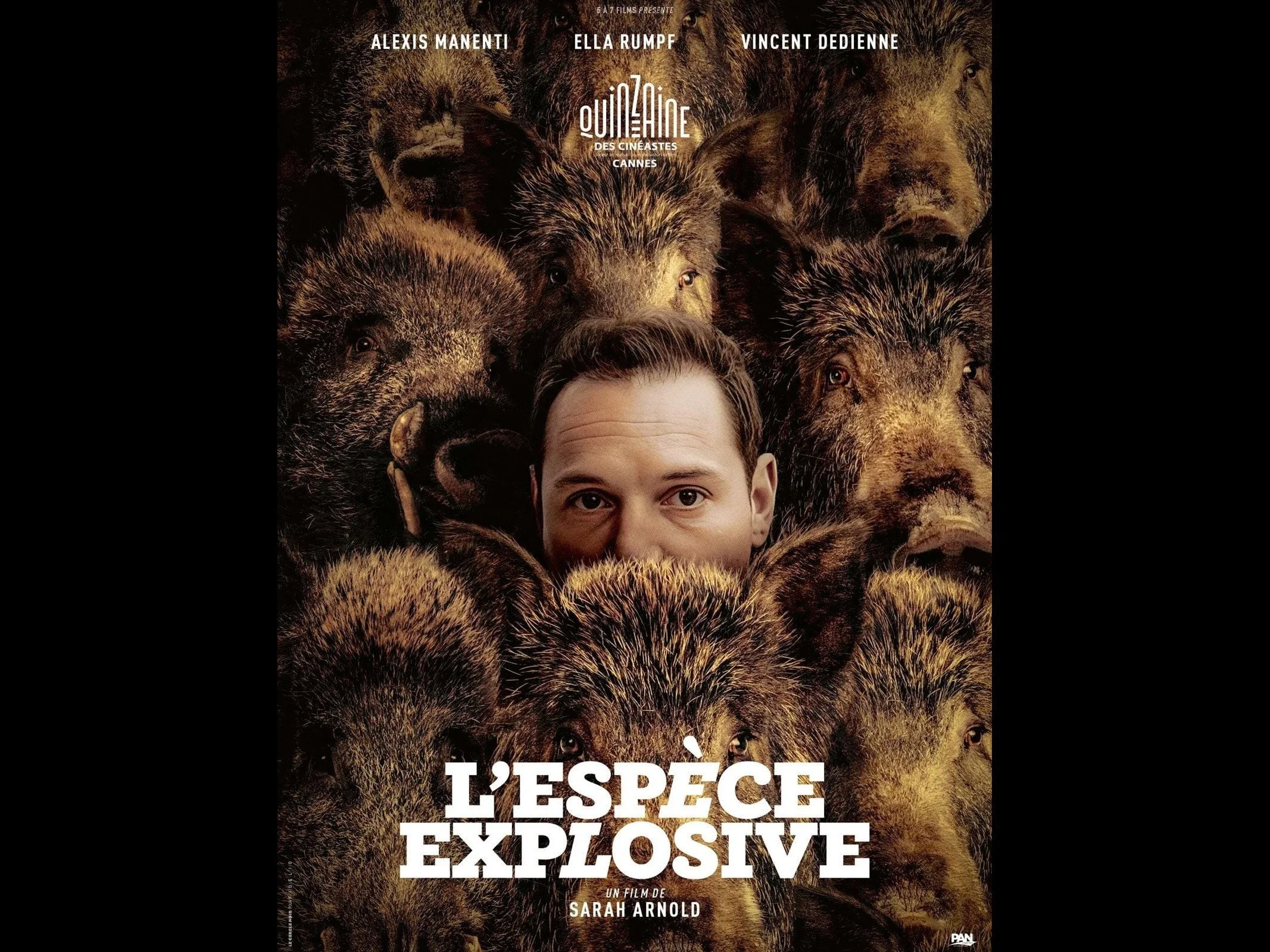 L'espèce explosive