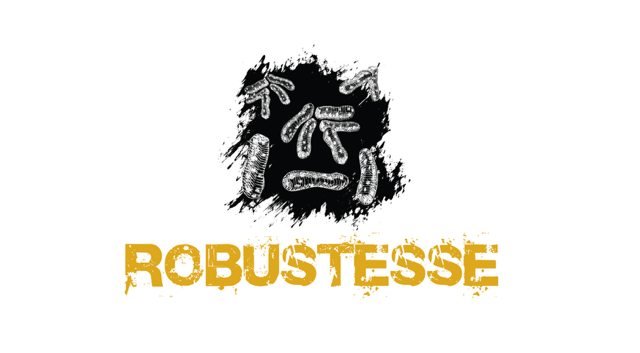 ROBUSTESSE