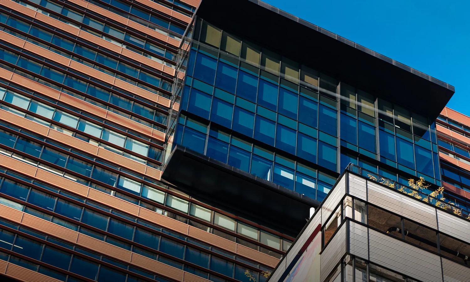 Raleigh Economic Development | Raleigh. It's a Smart Move