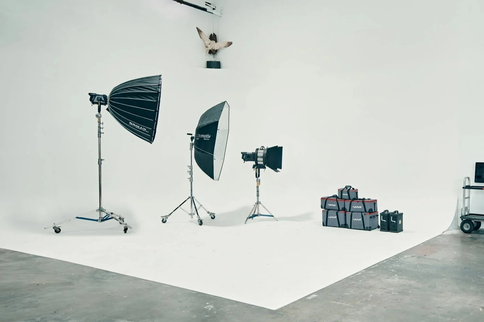 Silver Hill Studio's grip and professional lighting equipment, umbrellas, and a white backdrop, along with camera accessories and storage bags on a rolling cart.