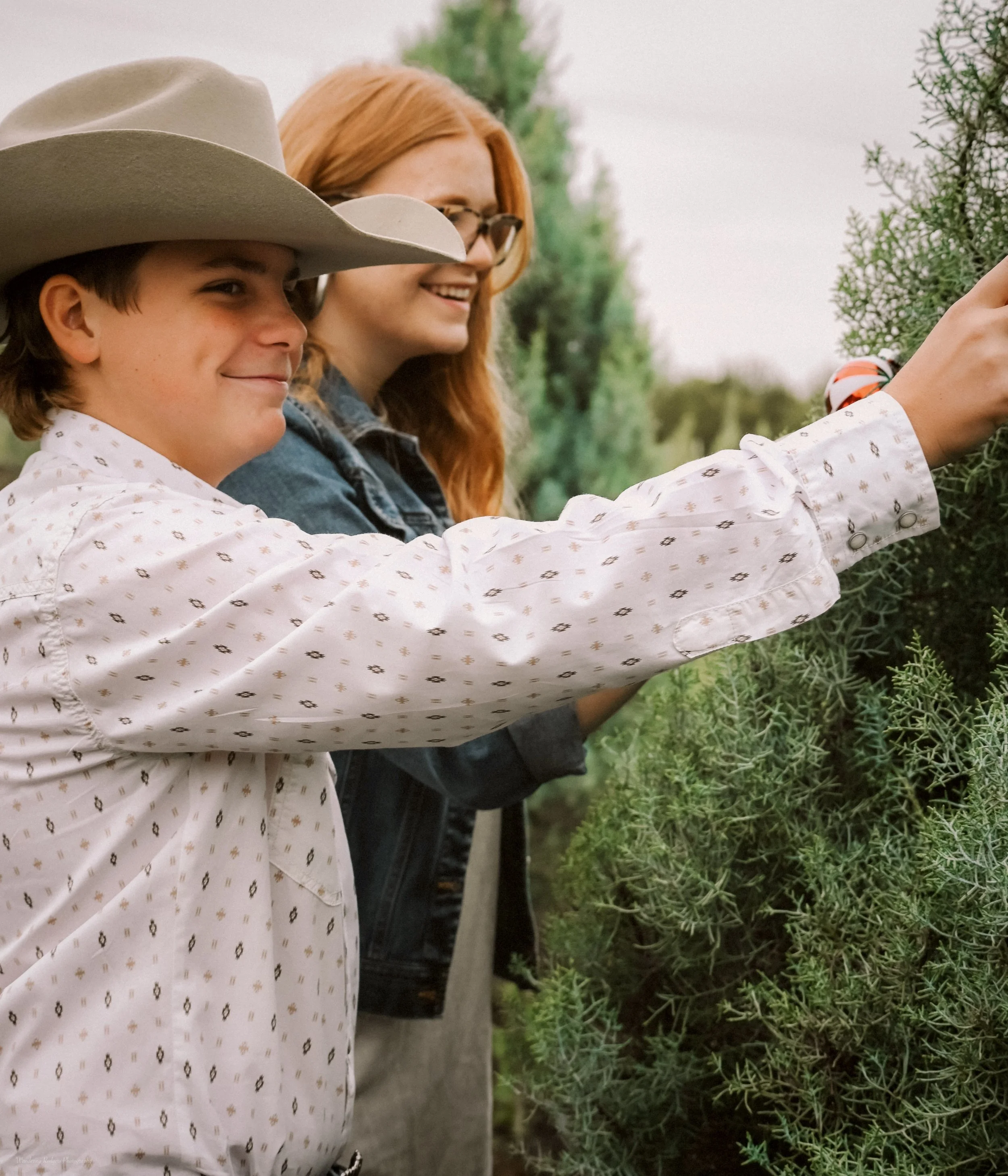 Christmas Minis Cetak Tree Farm Olympia, WA — Wandering Rodgers