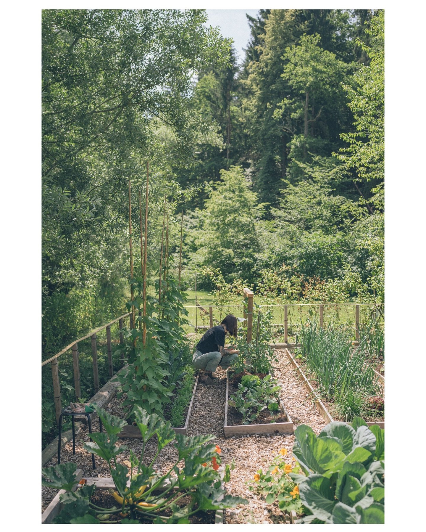 I usually start my days in our garden during these months. I can afford to be a little lazy because we&rsquo;re blessed with nearby trees that provide shade in the morning. 🌳

After that, I move to the studio and start working, which can involve any