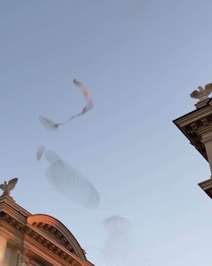 In one of my posts earlier this year, I talked about nature being the source (the power!) of my creativity. The flocks of birds above Rome are a good example of this: they were mesmerising and made my whole body tingle; I just couldn&rsquo;t look awa