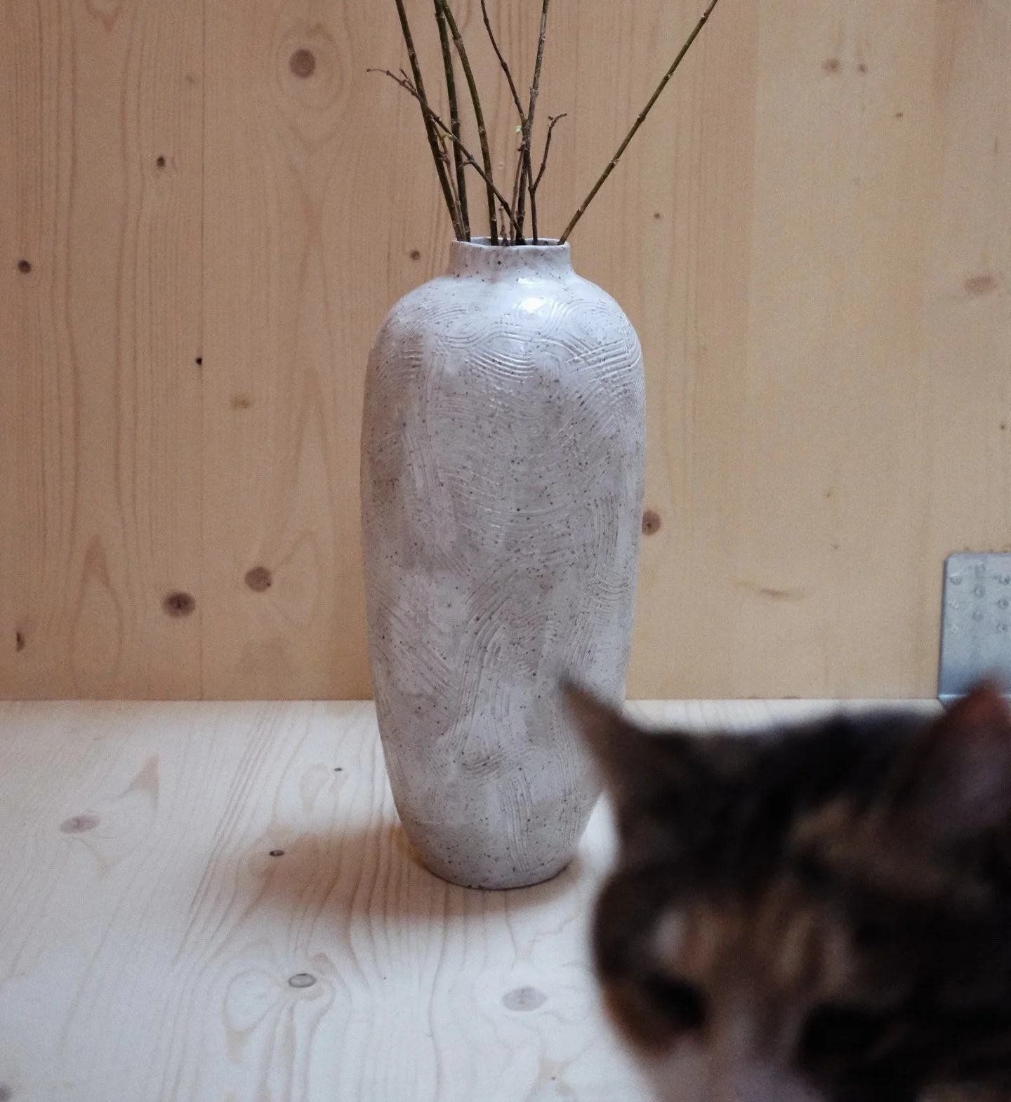 While searching for a photo of a large vase, I found the best surprise: a photo of it with a glimpse of Žuža ❤️ The best, the smartest, the kindest and just the most wonderful cat. I miss you so much, sweetheart.

 (if you accidentaly took her or kno