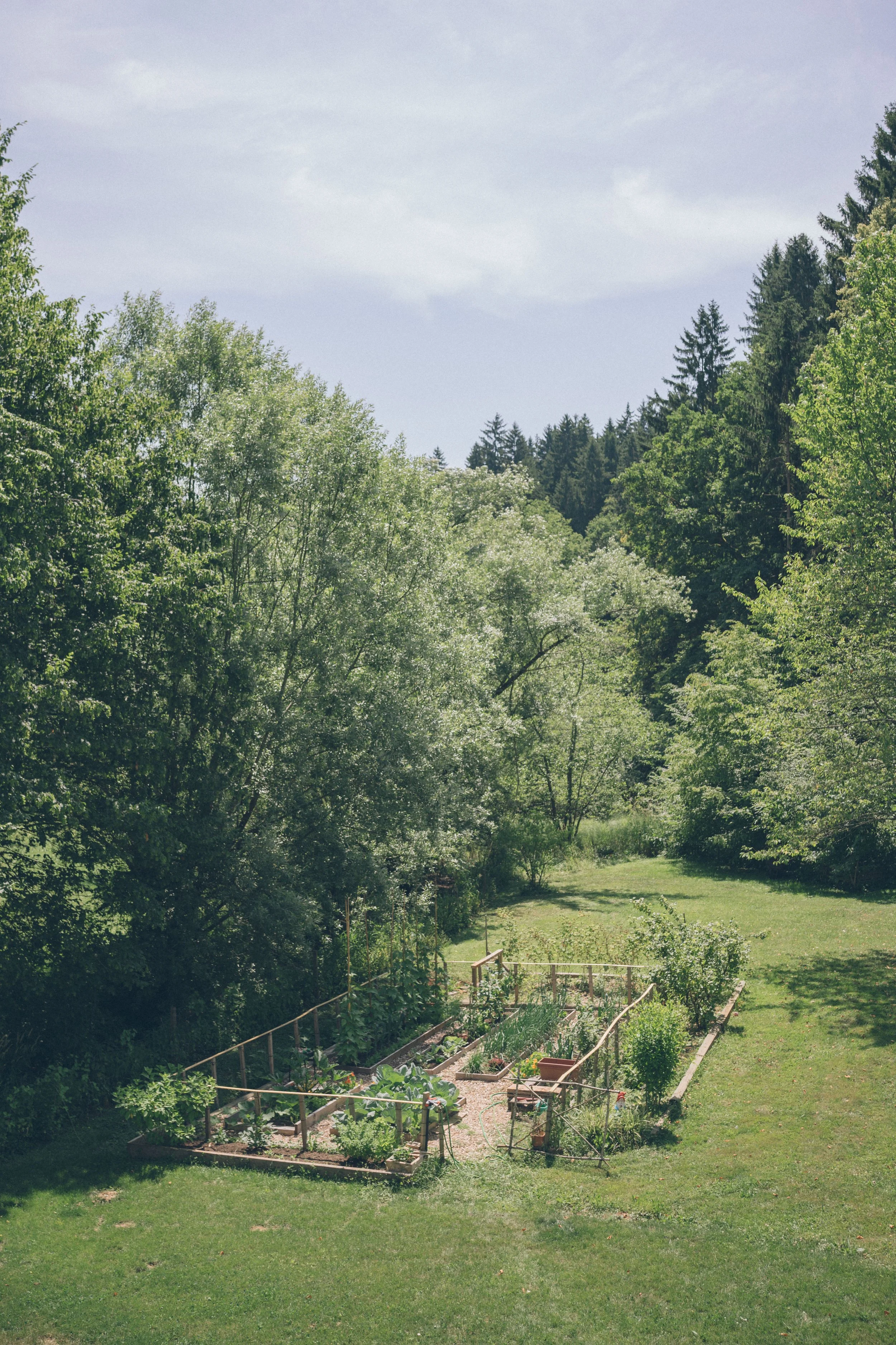 A fenced vegetable garden with various plants, surrounded by lush green trees and grass, under a partly cloudy sky.