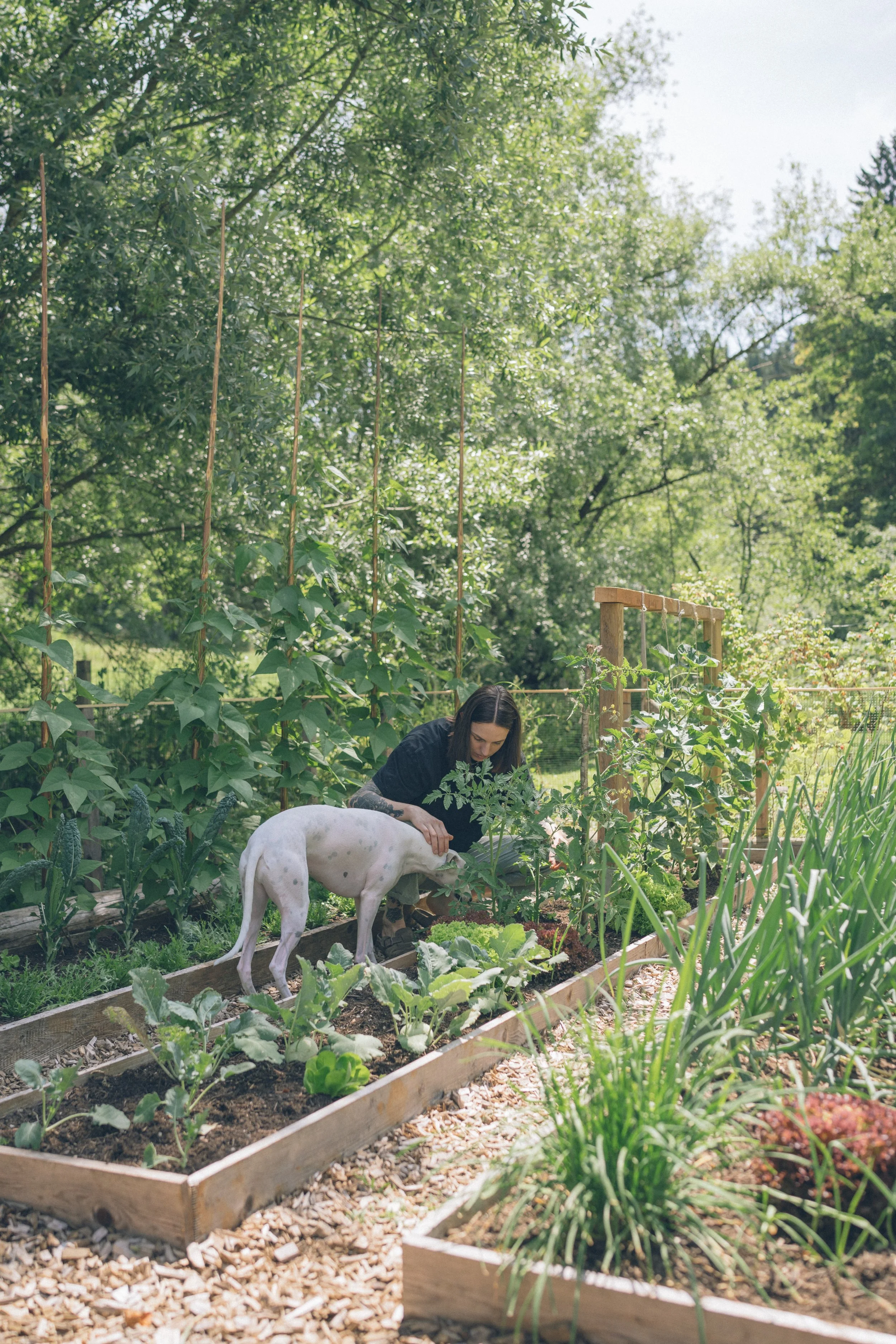 Janža Dolinšek and her whippet Kalle in a vegetable garden surrounded by lush green trees and plants.