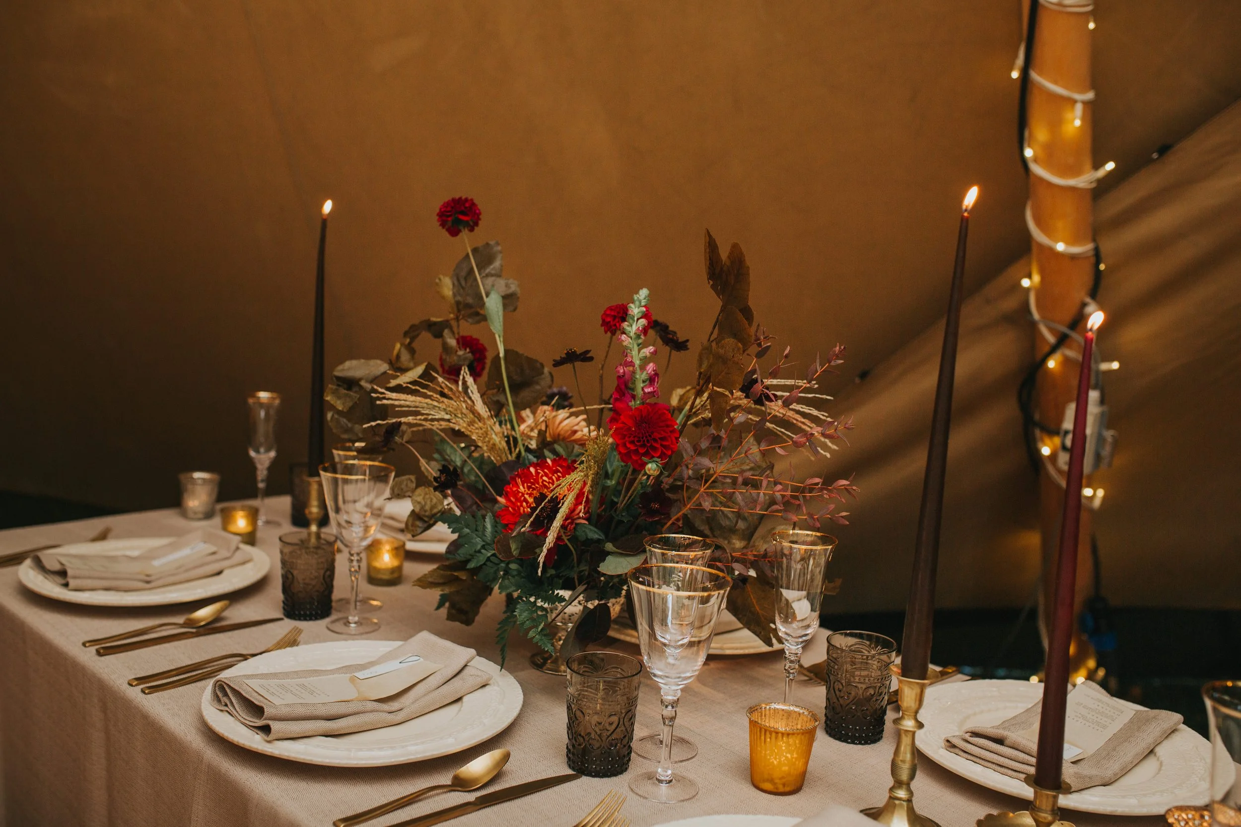 20211022_Coastal_Tents_Open_Day_Oct21-1187.jpg