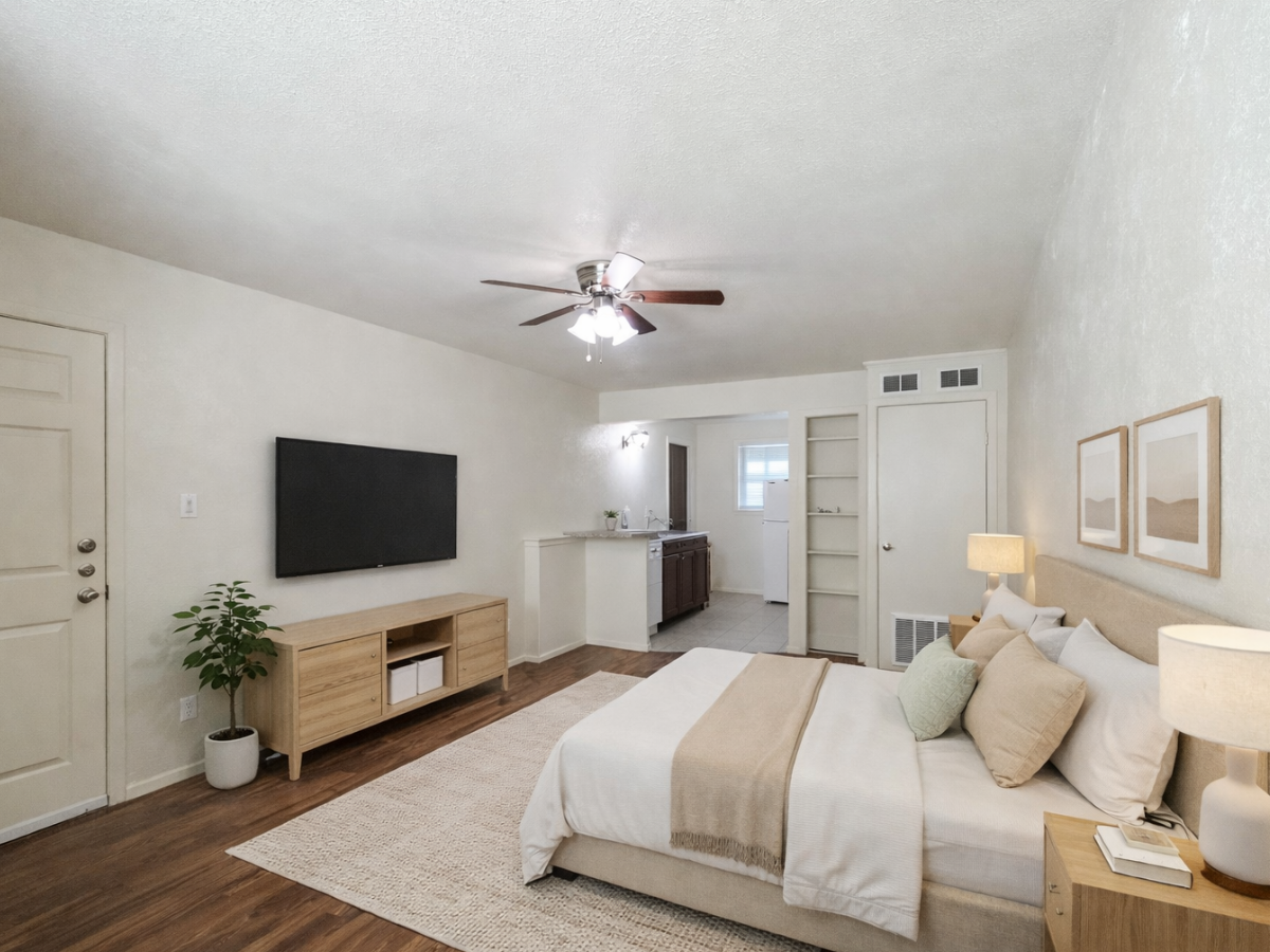 Living room with a bed, nightstands, pillows, a television, a small green plant, an area rug, ceiling fan, and a small kitchen area in the background.