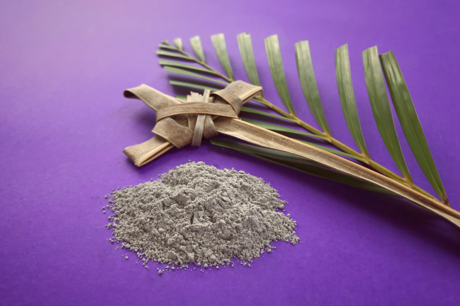 2/18/24 Lent 1 Sermon