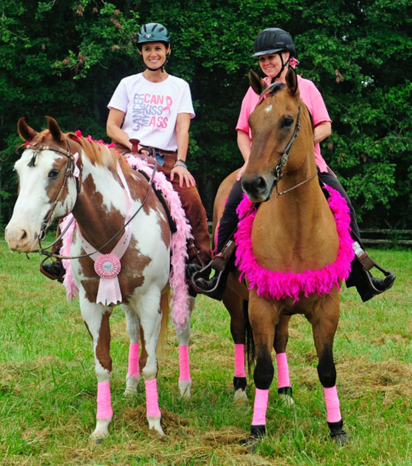 The countdown begins! One week till the our super fun pink show!! Thrills In The Hills Benefit Show. Please get entries in so we can provide you with time estimates closer to the day!
Raffle tables, great prizes, trainer gift bags, MexItalē Kitchen, 