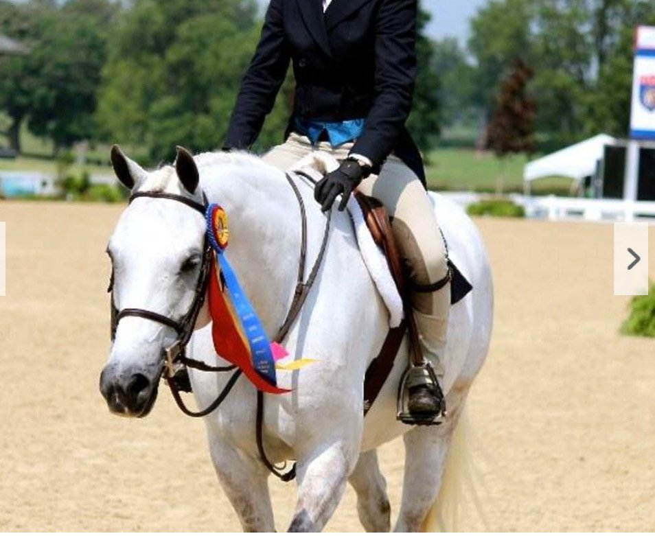 Fox Crossing Equestrian, Shows, Events, Horse Riding