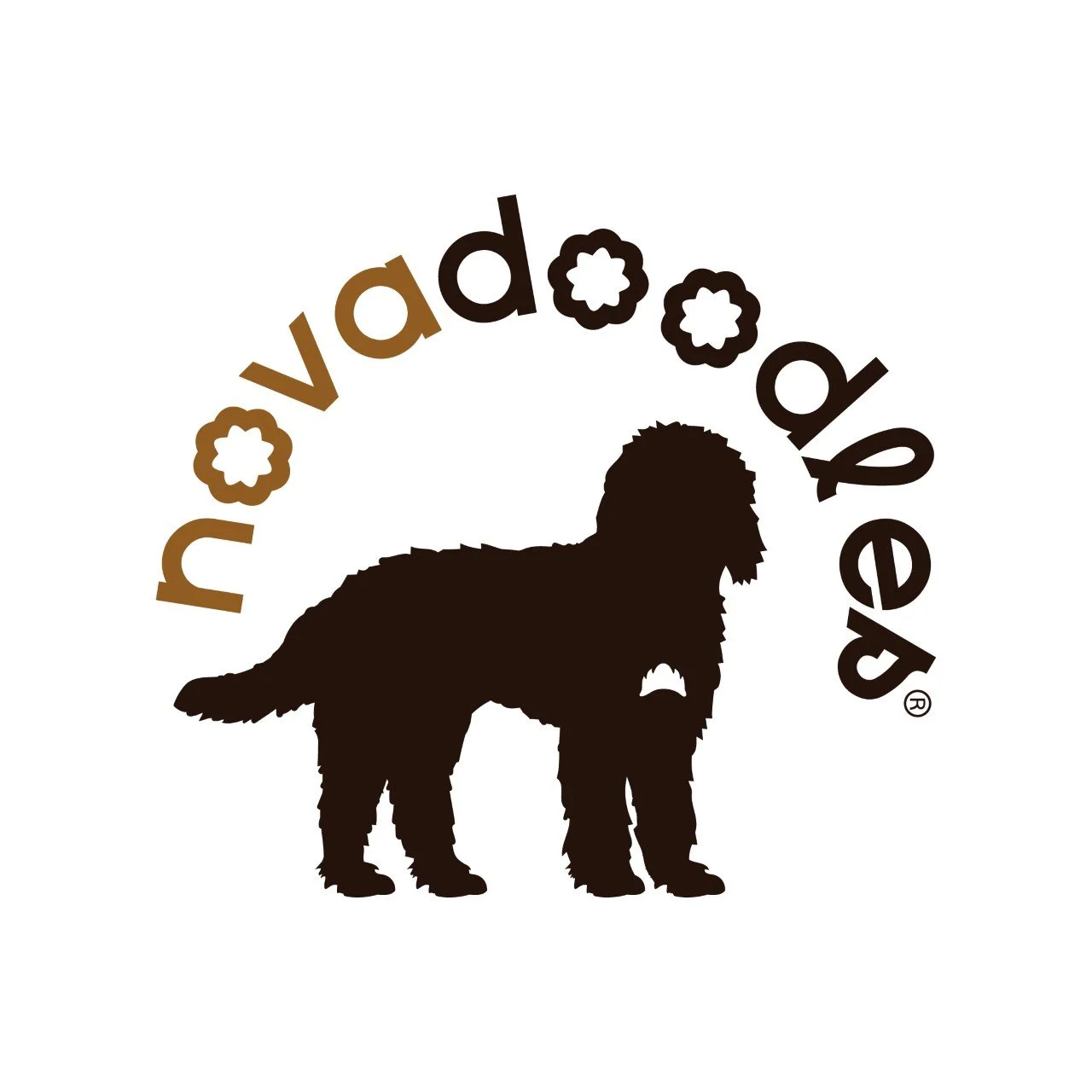 NOVAdoodles