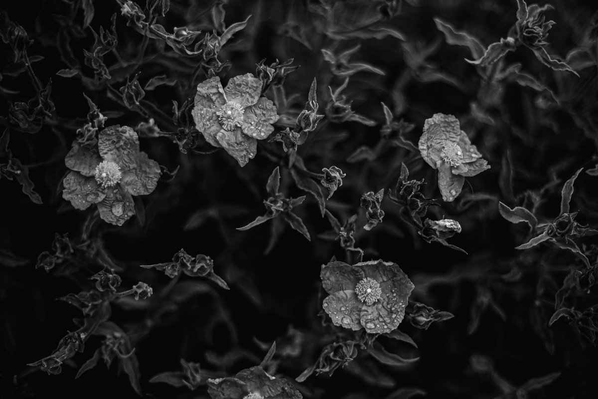 Radiant Insignificance