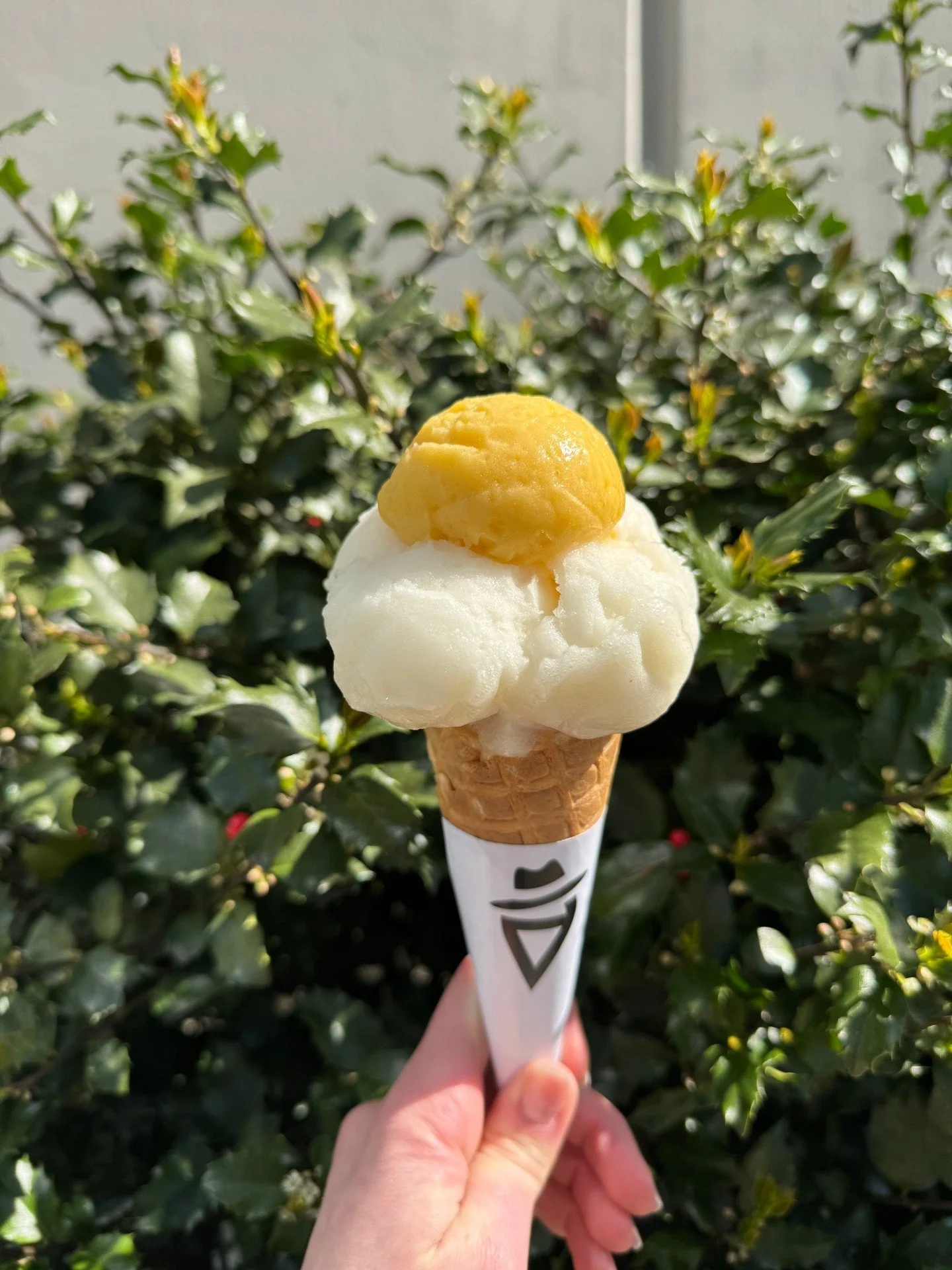 A reminder that we have a Monday survival plan for you: gelato.
.
Burnaby 2&ndash;11pm. North Van LoLo regular hours.
Both locations, all flavours. You know where to find us.
.
See you tomorrow!
ㅤ
