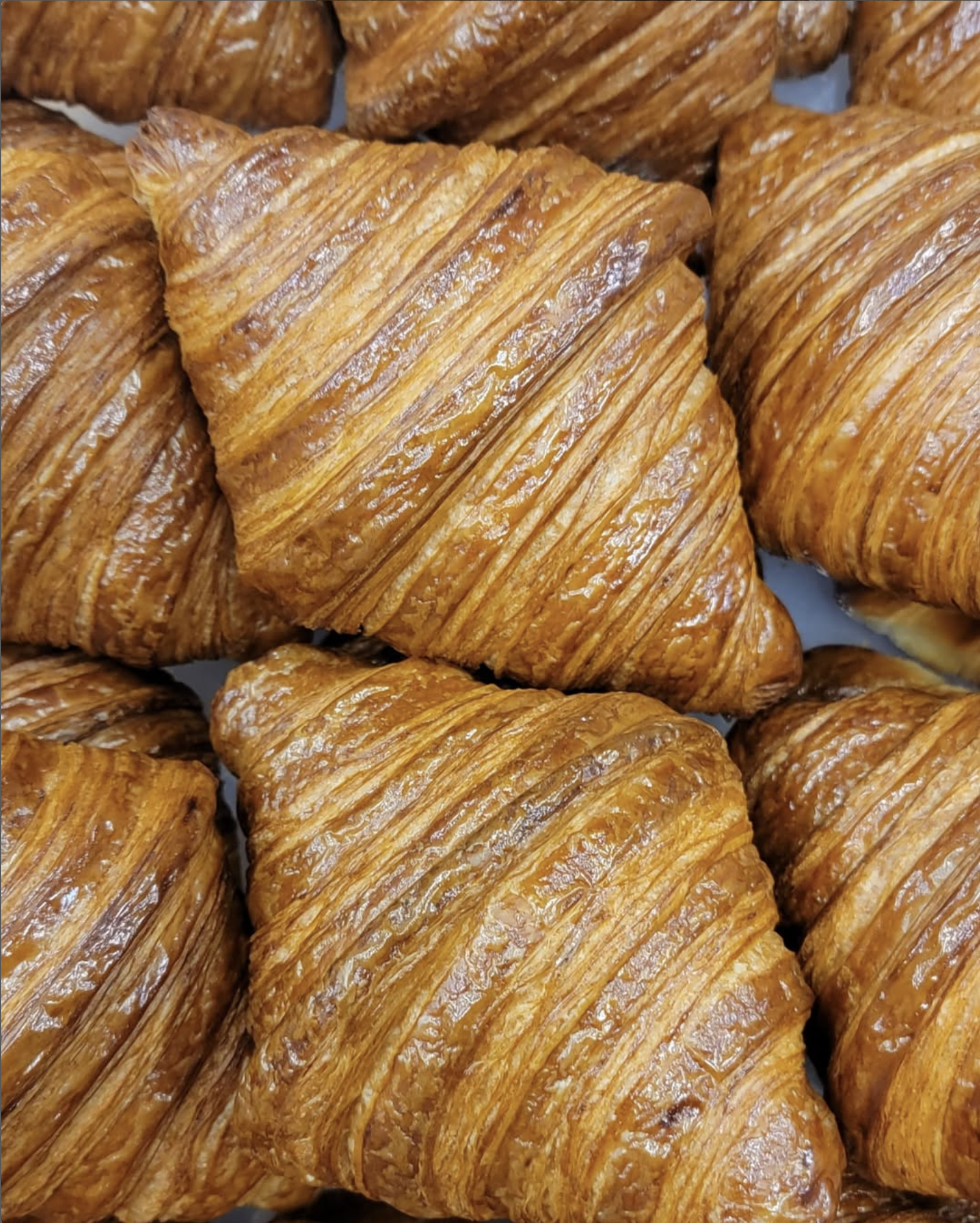 Screenshot 2025-03-31 at 2.14.45 PM.png