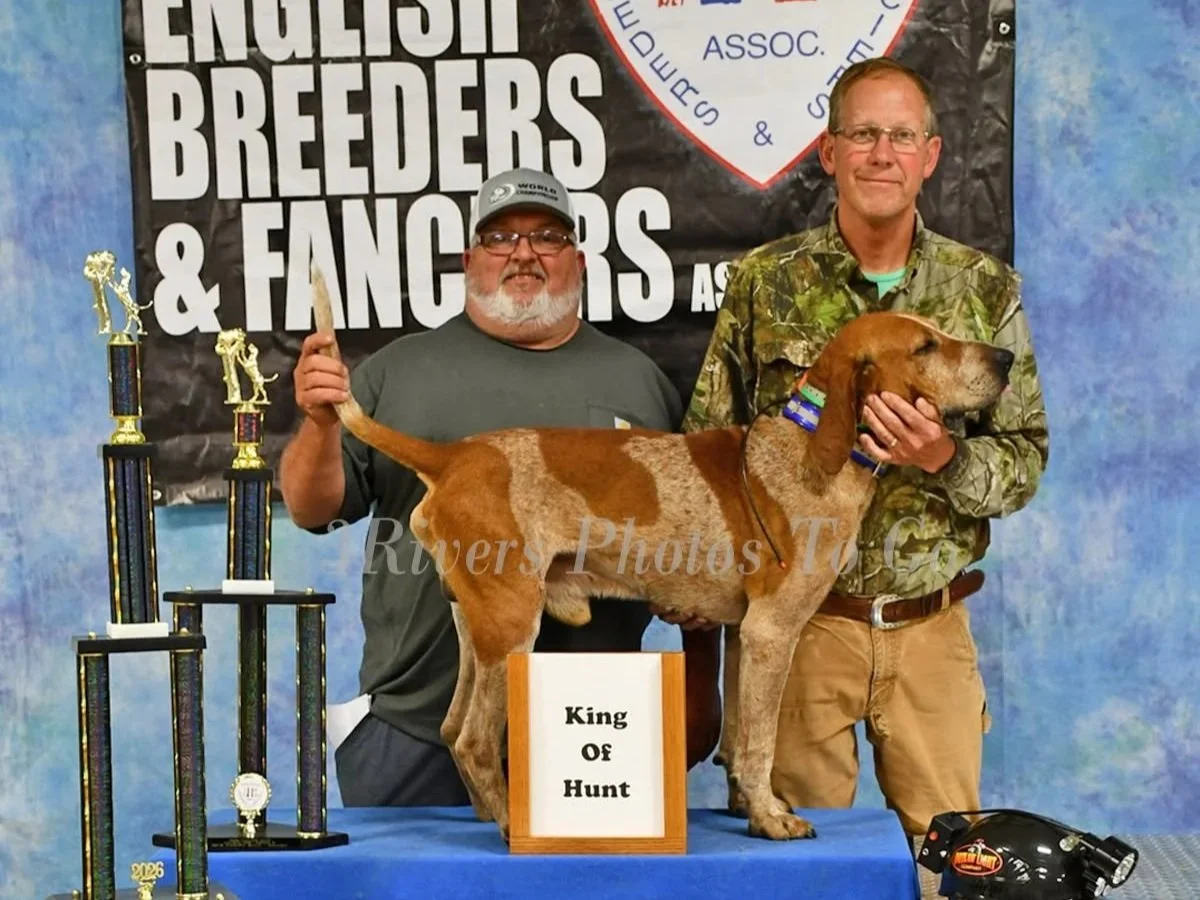2026 English Days King of Hunt