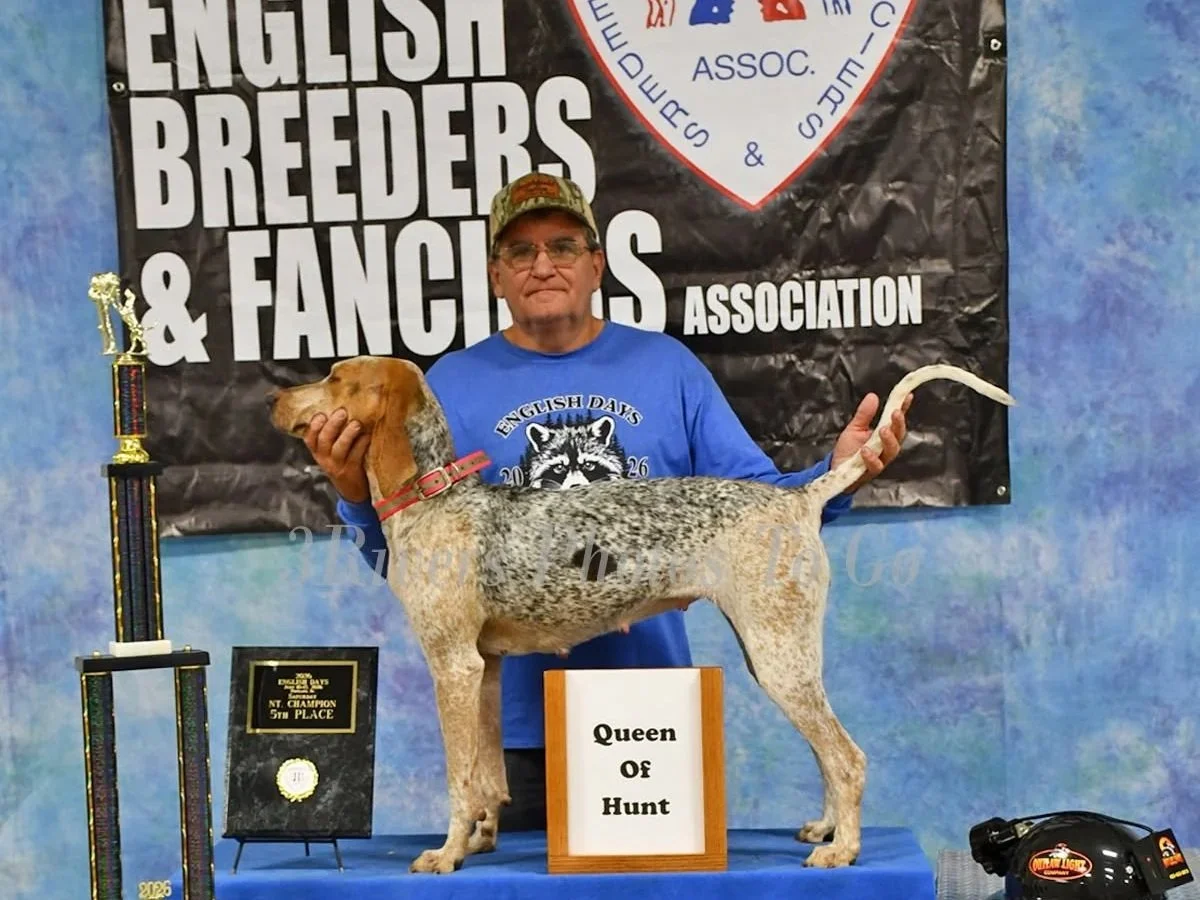 2026 English Days Queen of Hunt