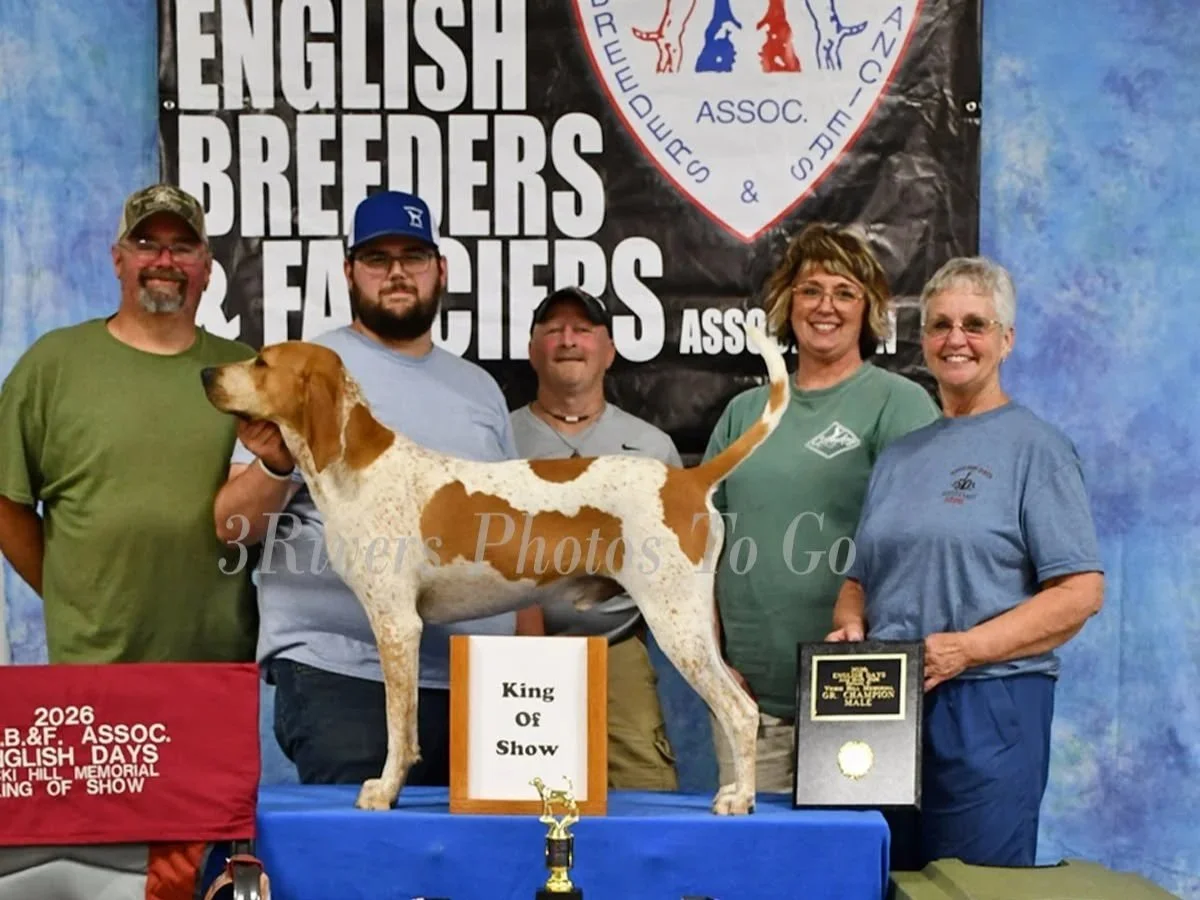 2026 English Days King of Show