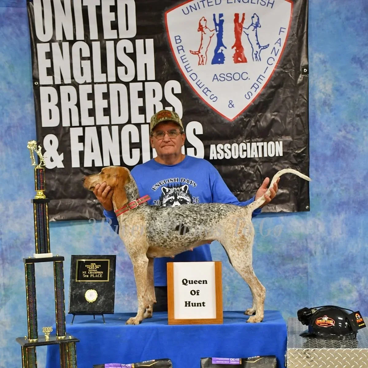 2026 English Days Queen of Hunt