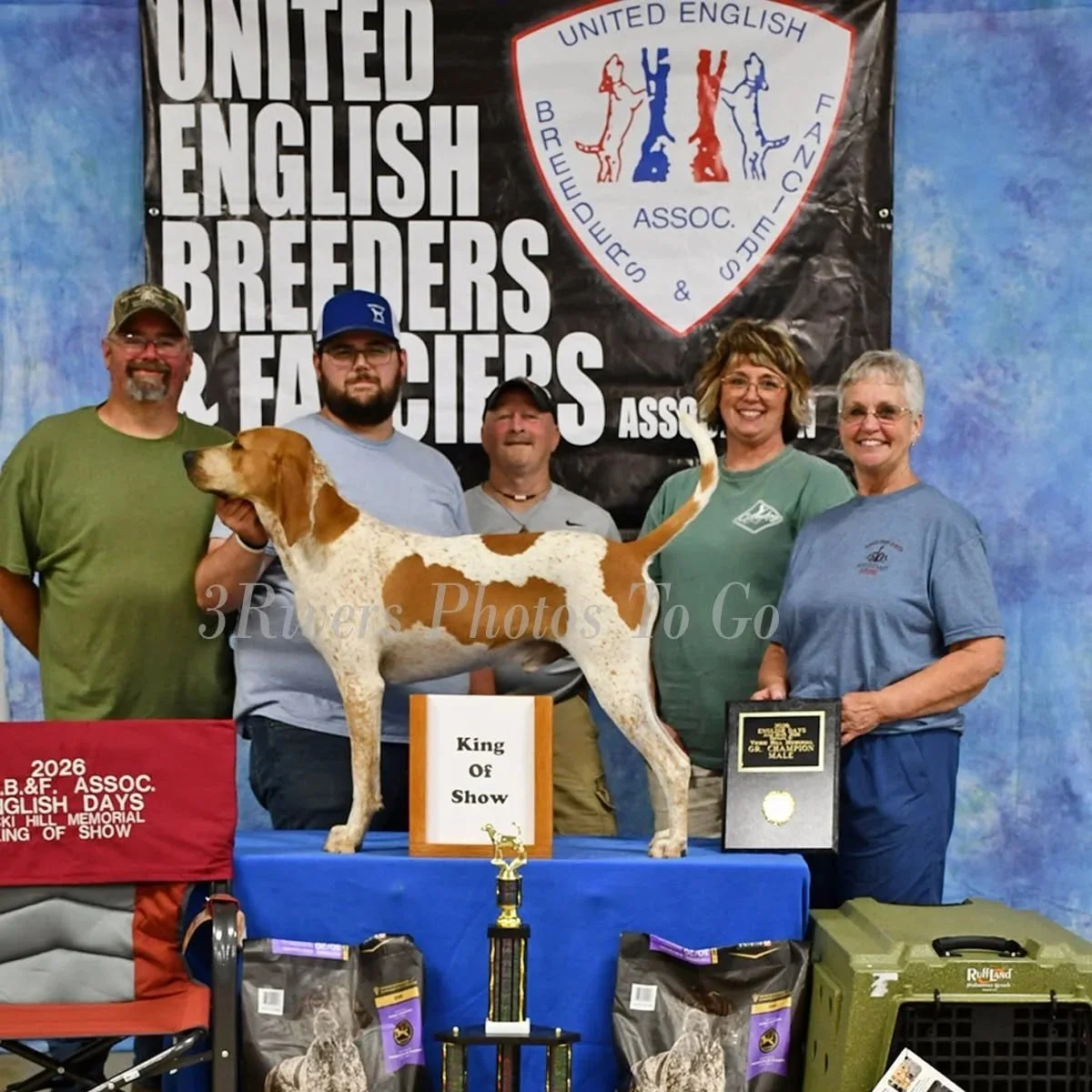 2026 English Days King of Show