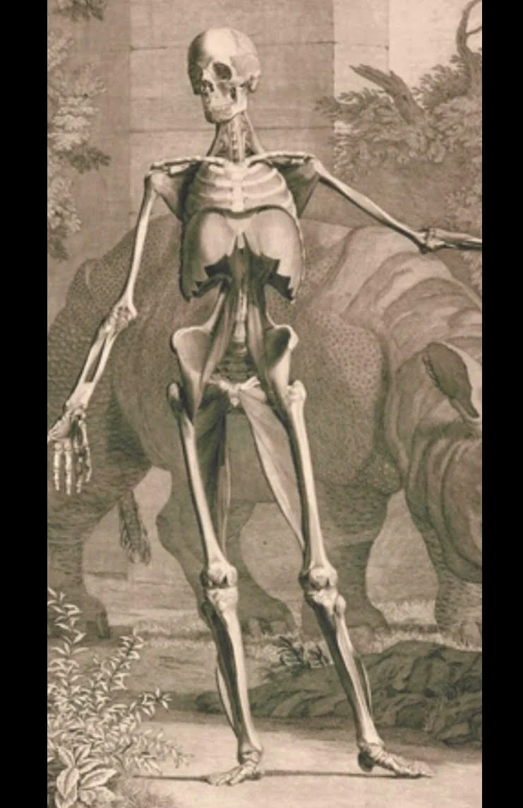 The Poetics of Structure (eight-session class)