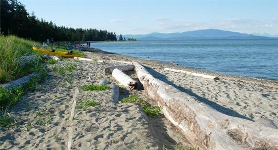 beach 6.jpg