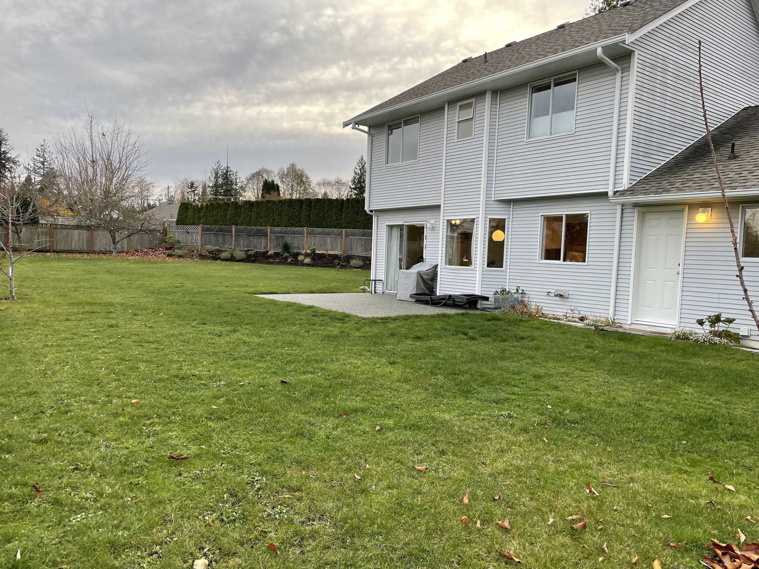 backyard2.jpg