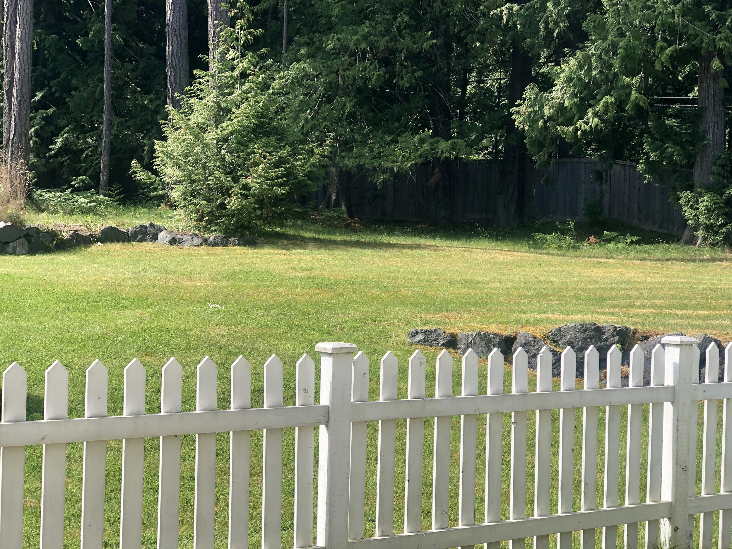 Back Yard.jpg