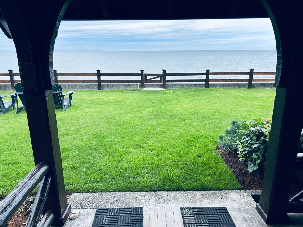 Looking out.jpeg