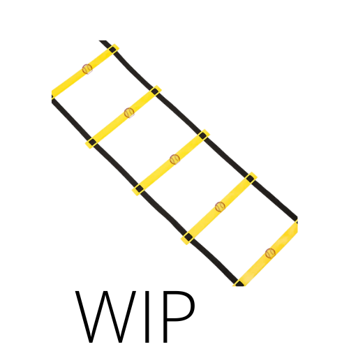 Manny Being Manny Agility Ladder