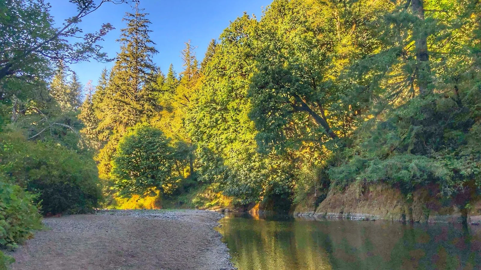 Kilchis River Outing: Oregon