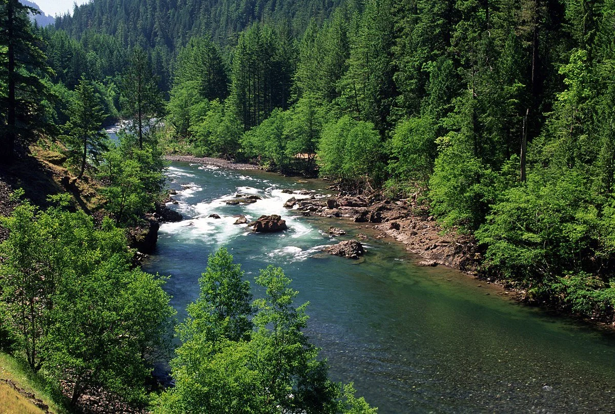 Clackamas River Outing: Oregon