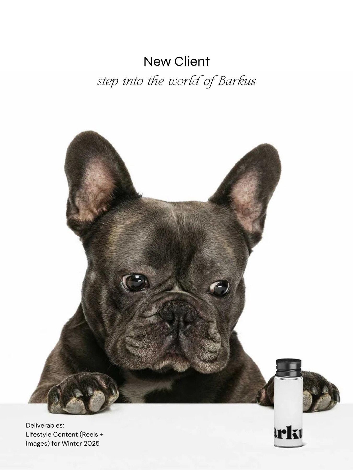 We&rsquo;re casting dogs for an upcoming shoot! 🐶
Dog Model Casting Call: now open. 

*Must be based in Montreal 

#MarketingAgency #MontrealMarketing #SocialMediaAgency #DogCastingCall