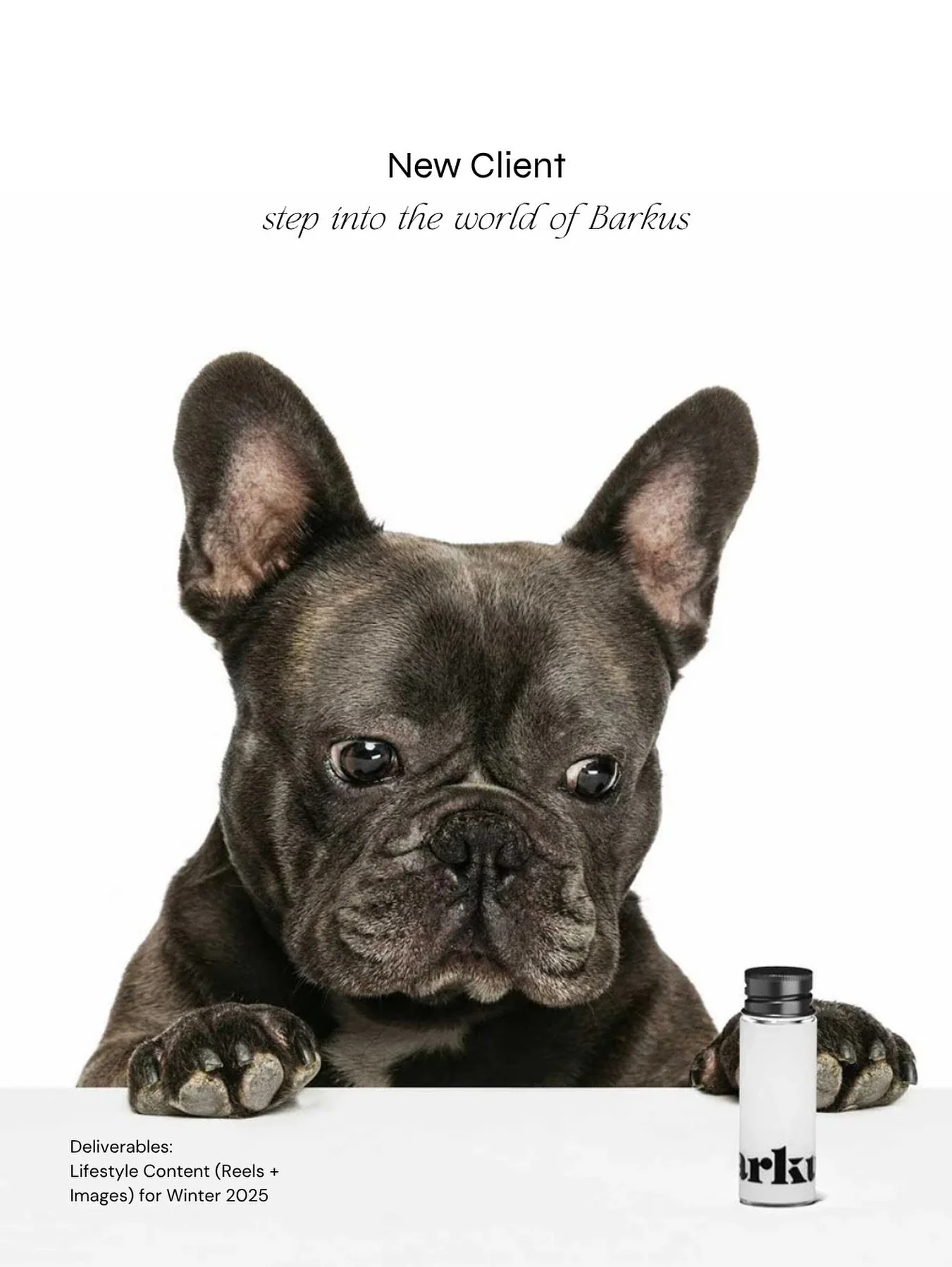 We&rsquo;re casting dogs for an upcoming shoot! 🐶
Dog Model Casting Call: now open. 

*Must be based in Montreal 

#MarketingAgency #MontrealMarketing #SocialMediaAgency #DogCastingCall