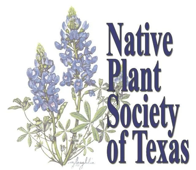 2014 Native Star Award from the Native Plant Society of Texas goes to FOTHNA!