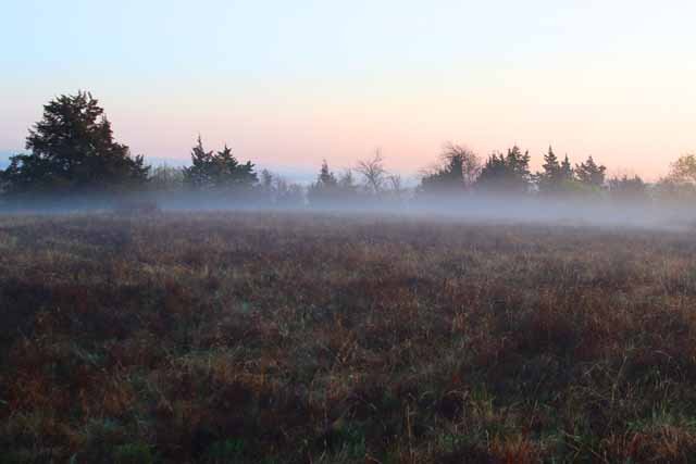  A light fog on the morning of April 5th added a mystical quality to the east meadow. Photo by,  Greg Hughes  