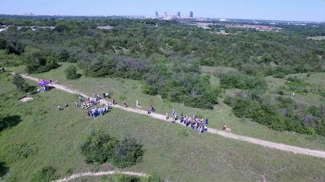  The Main (Hawk) Trail, at the BioBlitz in 2016 was basically ONE trail lined with wildflowers. 