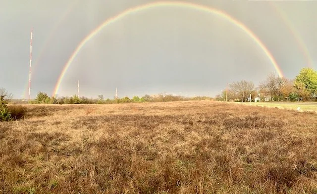  I saw this stunning rainbow coming when the Sun popped out on March 21 and waited in the rain for it to fill in all the colors. 