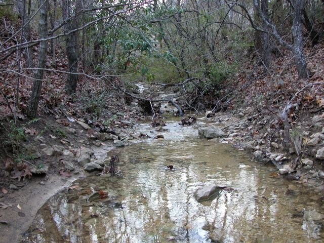  Male and Female Rain is running freely in the Tandy Hills creeks. 