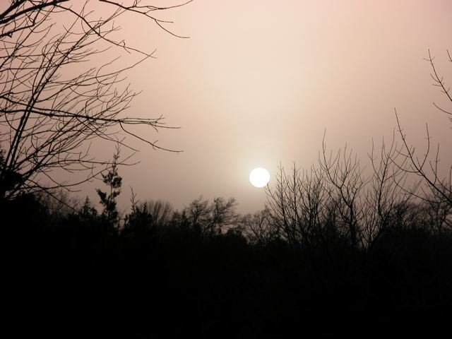  West Texas dust filled the sky over Tandy Hills on 1/22/12. 