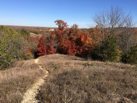   Red Oak &nbsp;trees in full Fall color brighten up the landscape.&nbsp; 