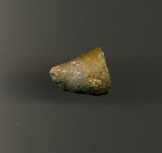  A&nbsp; Coelenterate &nbsp;(coral tip) from&nbsp;the Cretaceous period turned up at Tandy Hills. 